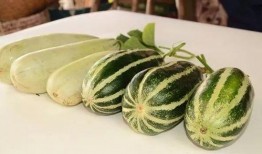 宣威网红吃瓜,吃瓜大作战幕后揭秘！